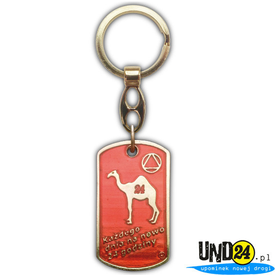 Brelok Nieśmiertelnik - Dromader - 24 Godziny - Modlitwa o Pogodę Ducha - Kolorowy w Amerykańskim Stylu